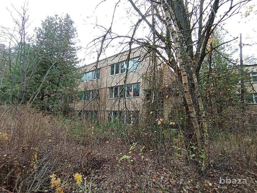 Оздоровительный лагерь "Чайка" Ступино - изображение 8