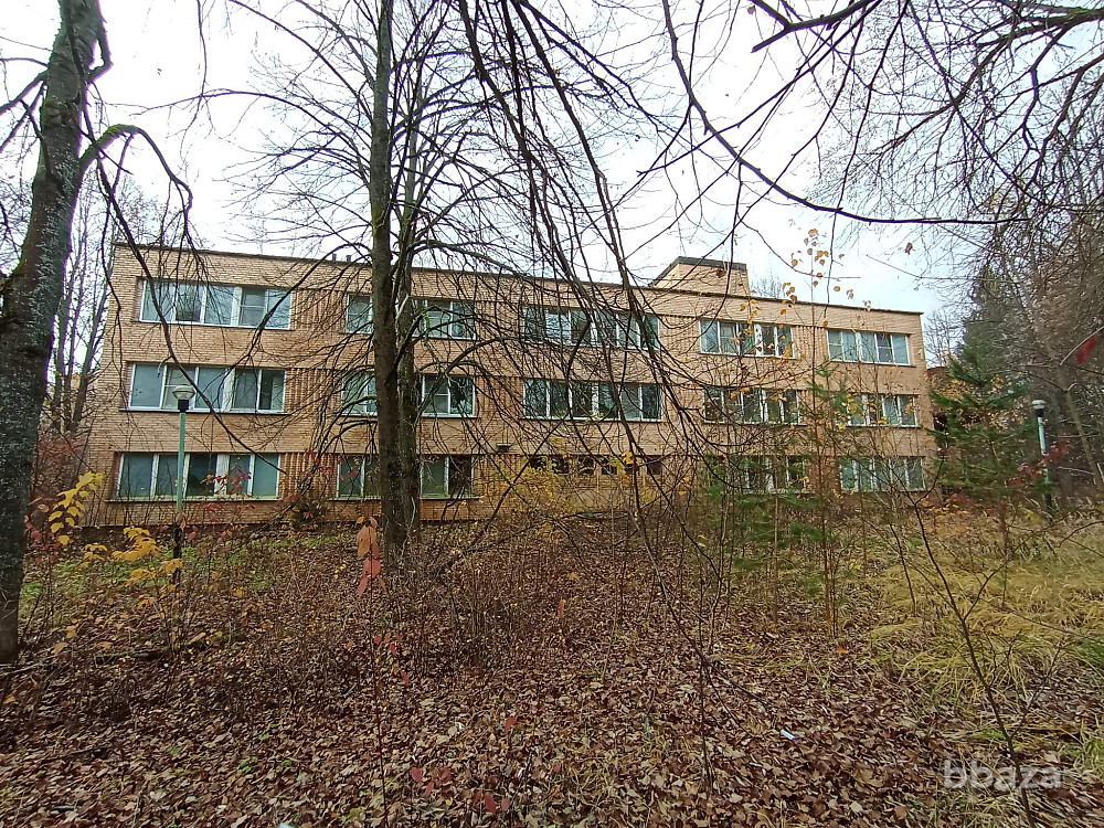 Оздоровительный лагерь "Чайка" Ступино - изображение 4