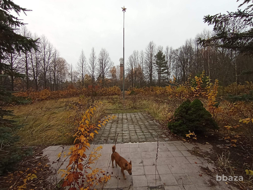 Оздоровительный лагерь "Чайка" Ступино - изображение 9