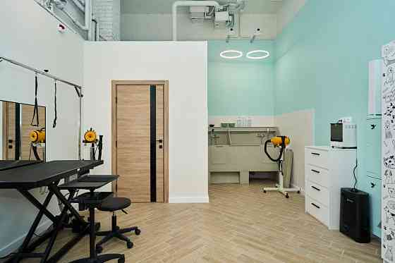 Продажа готового бизнес груминг салона Москва