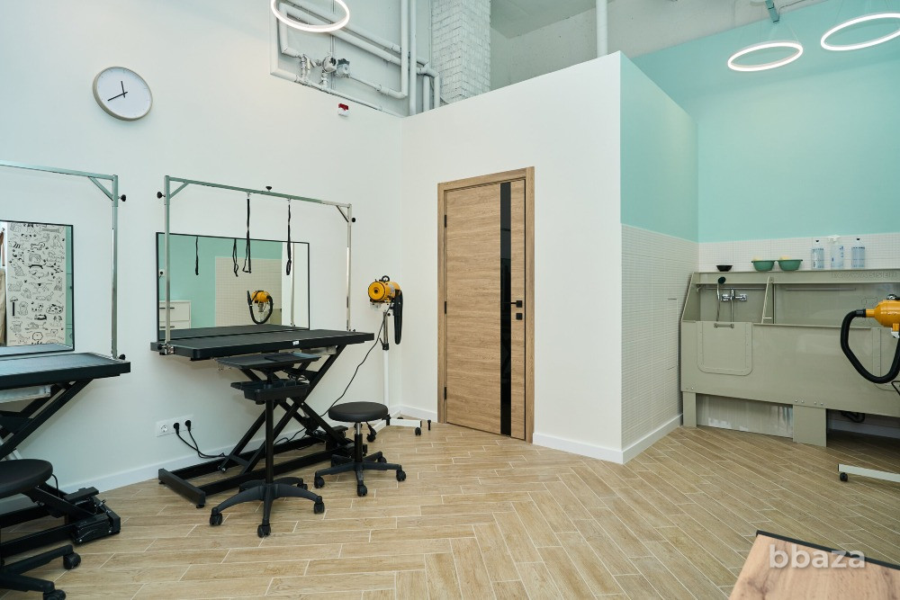 Продажа готового бизнес груминг салона Москва - изображение 5