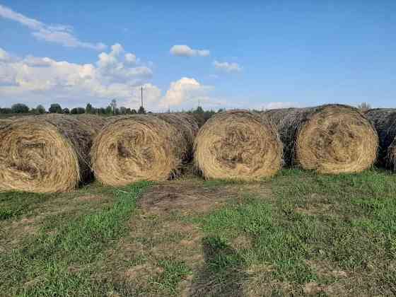 Срочно продажа с дисконтом 30% от стоимости сельхозпредприятия Кунгур