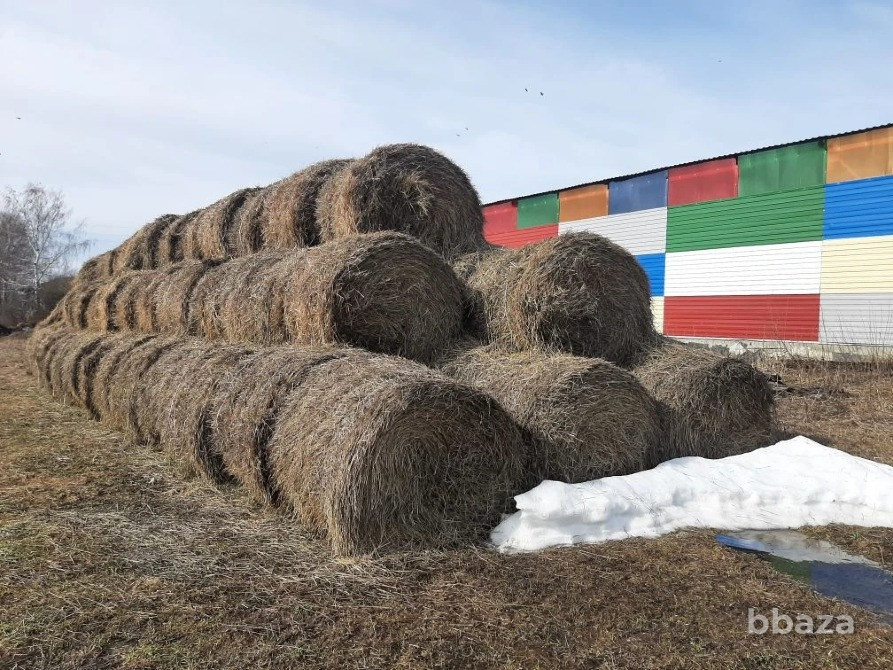 Срочно продажа с дисконтом 30% от стоимости сельхозпредприятия Кунгур - изображение 9