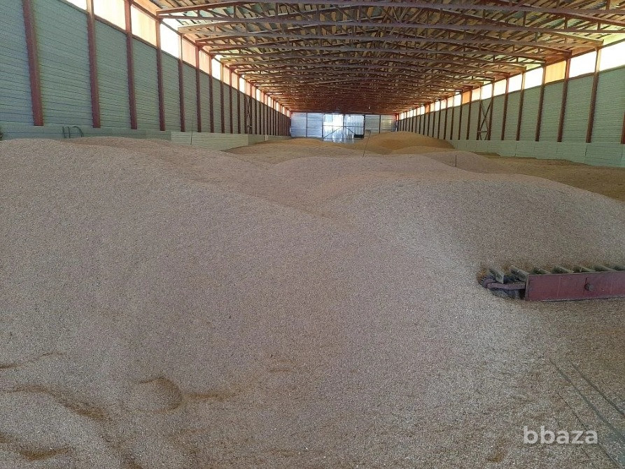 Срочно продажа с дисконтом 30% от стоимости сельхозпредприятия Кунгур - изображение 4