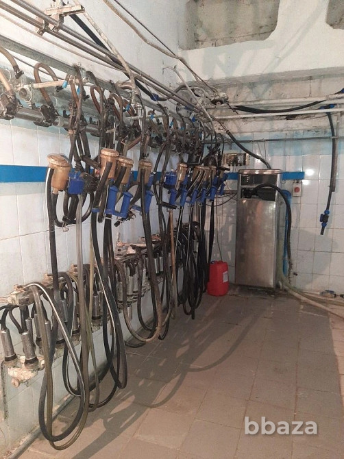 Срочно продажа с дисконтом 30% от стоимости сельхозпредприятия Кунгур - изображение 8