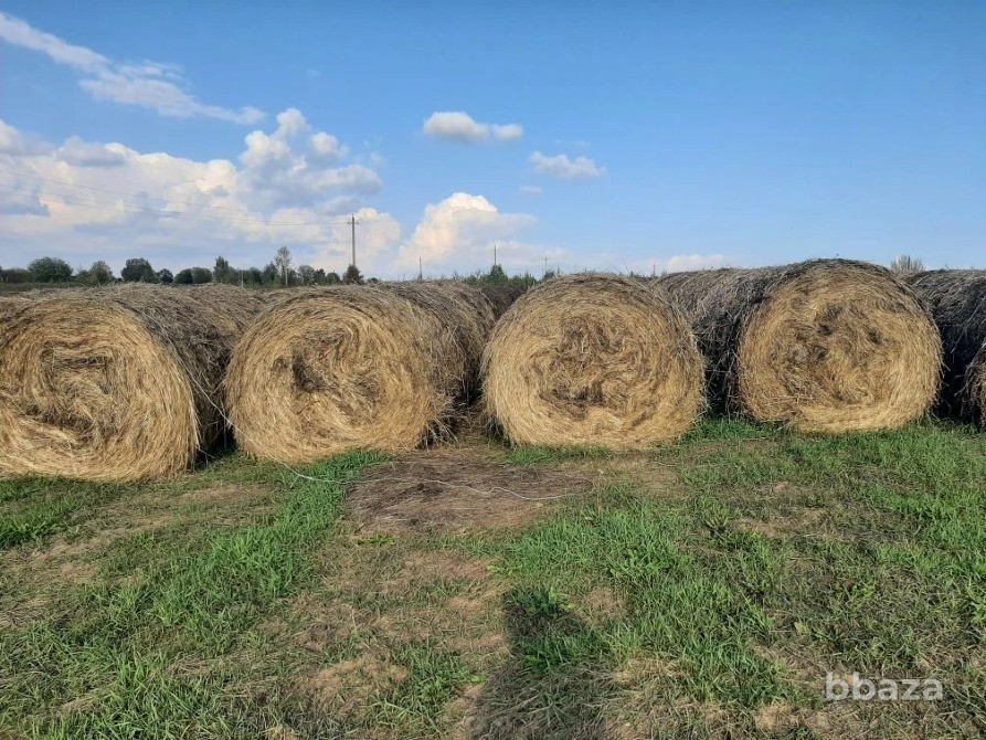Срочно продажа с дисконтом 30% от стоимости сельхозпредприятия Кунгур - изображение 5