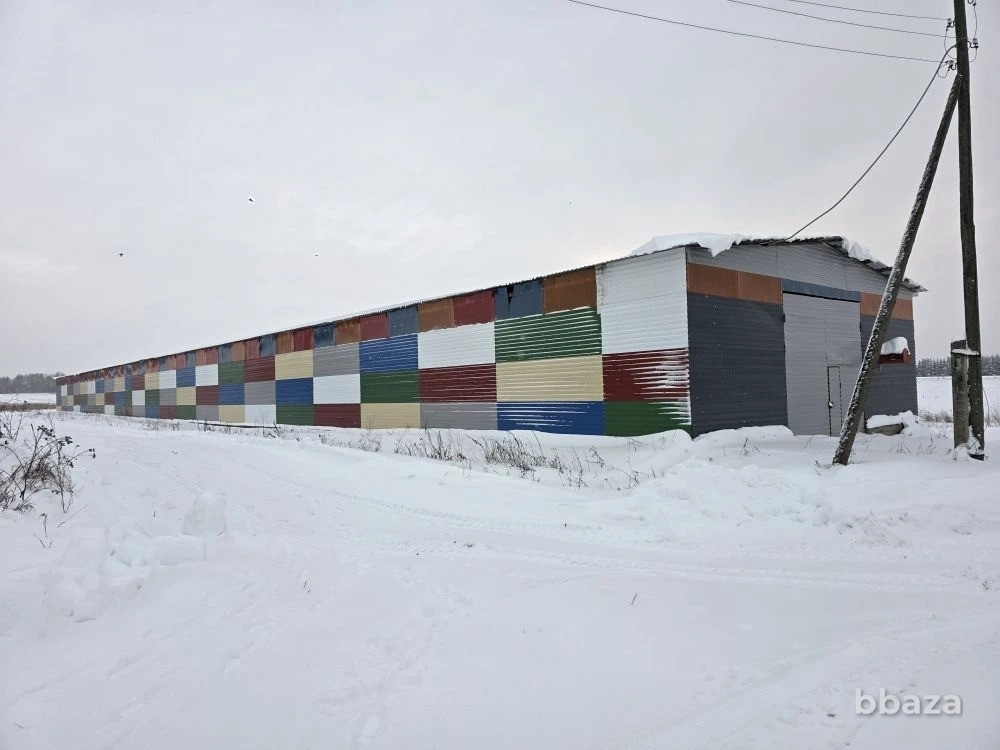 Срочно продажа с дисконтом 30% от стоимости сельхозпредприятия Кунгур - изображение 1