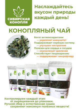 Конопляный травяной чай из Сибири Новосибирск