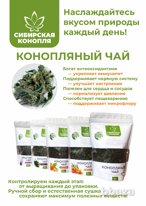 Конопляный травяной чай из Сибири Новосибирск - изображение 2