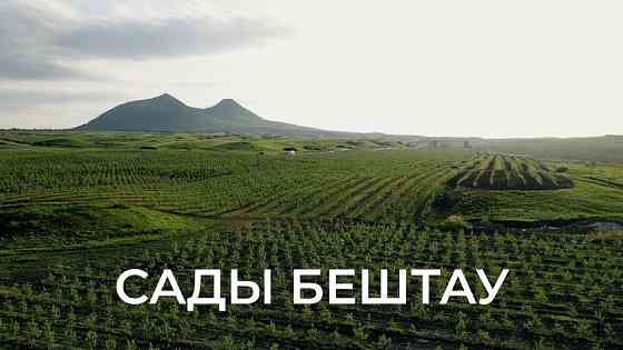 Тендер на заключение договора аренды имущественного комплекса Минеральные Воды