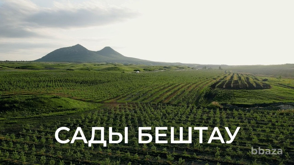 Тендер на заключение договора аренды имущественного комплекса Минеральные Воды - изображение 1