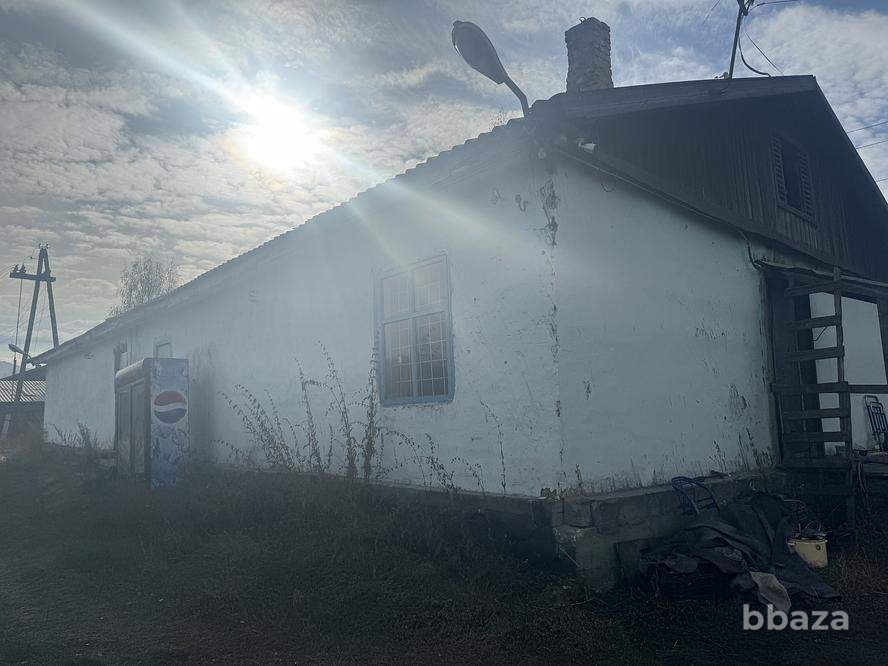 Торговое помещение 206.4 м2 Тыва (Тува) - изображение 7