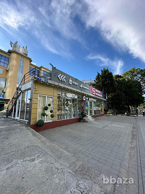 Продаю помещение свободного назначения 76.6 м2 от собственника Сочи - изображение 2