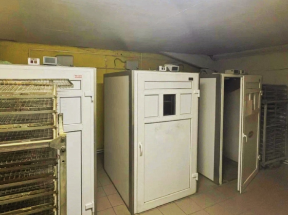 Перепелиная ферма 1.200кв.м. 50.000перепелов Шацк