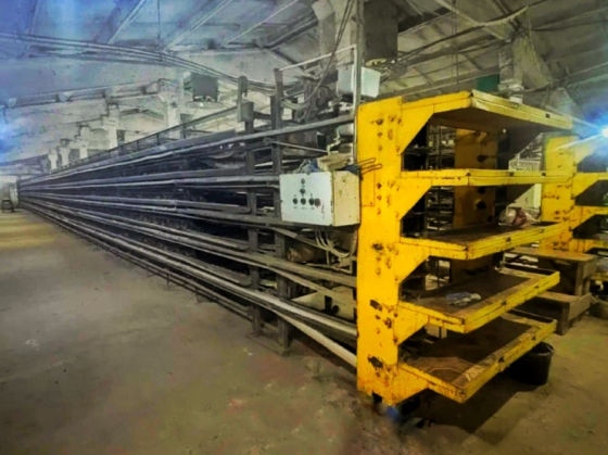 Перепелиная ферма 1.200кв.м. 50.000перепелов Шацк