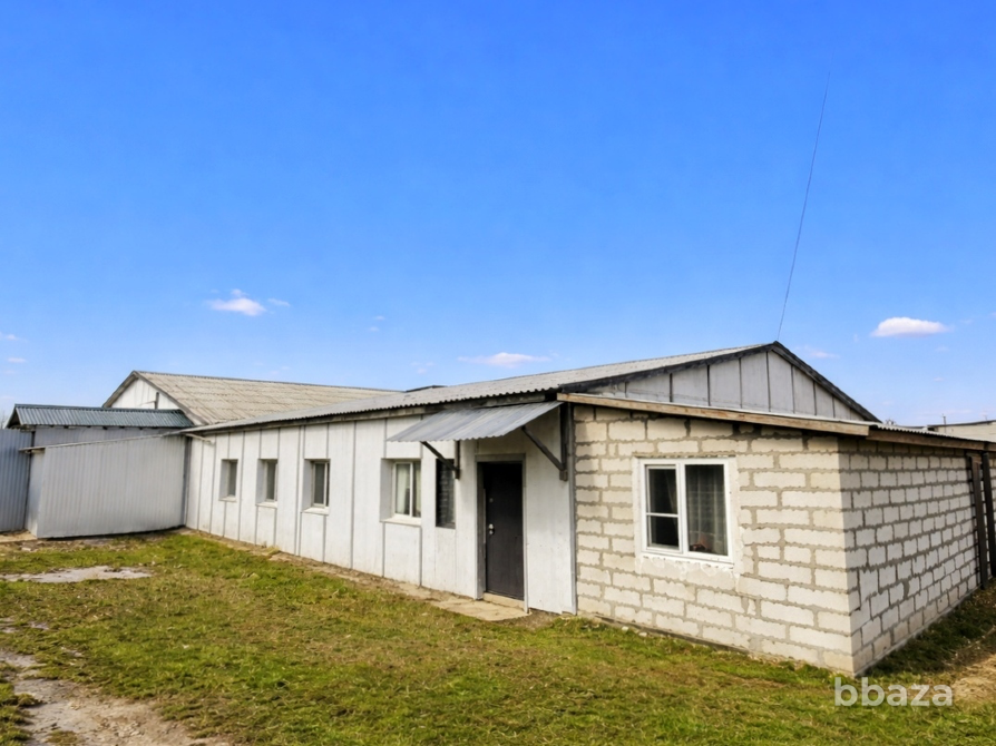 Перепелиная ферма 1.200кв.м. 50.000перепелов Шацк - изображение 1