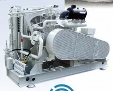 воздушный компрессор LMF v19/5621 L 40 Москва