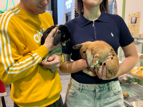 Продам прибыльный бизнес Зеленоград