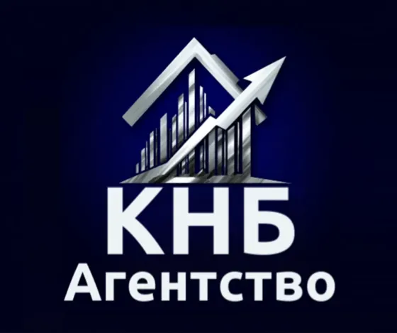 Франшиза "Агентство КНБ" (Кредиты. Недвижимость. Банкротство). Москва