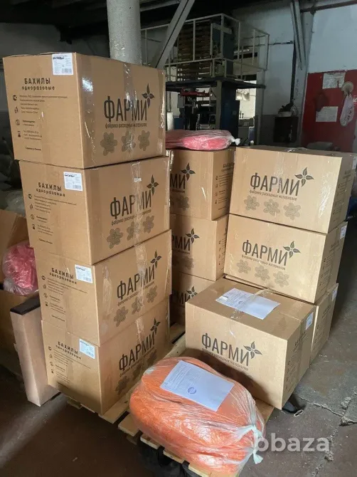 Фабрика по производству расходных медицинских и бытовых изделий с портфеле Новосибирск - изображение 10