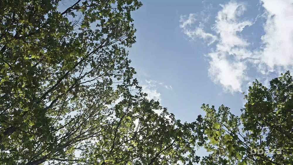 Удобная кладовая Москва - изображение 1