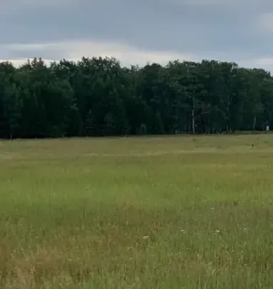 продажа участка в Боровом (Щучинск) Щучинск