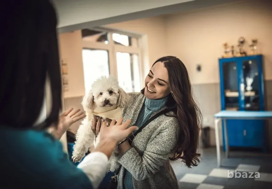 Юнивет - вет клиника Домодедово Домодедово - изображение 1