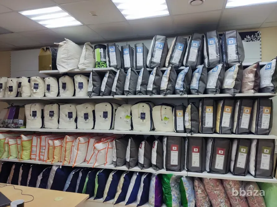 Белашофф Курск - изображение 1