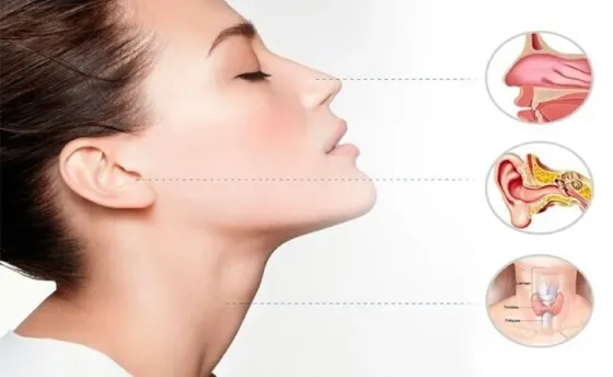 Современное лечение ЛОР-заболеваний в медицинской клинике 21 в Одинцово Москва