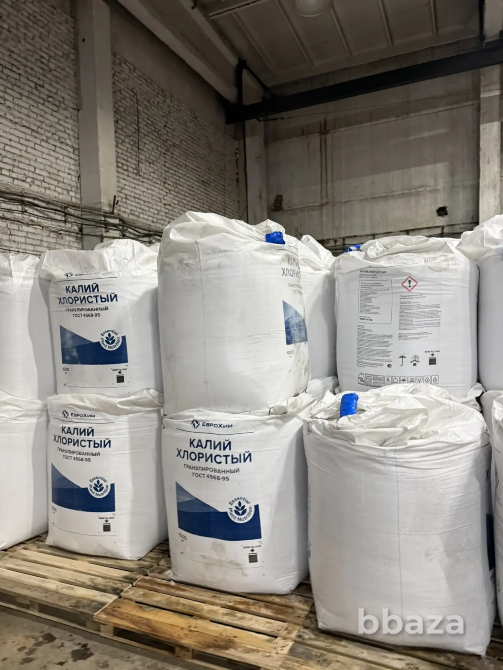 Хлористый калий, марки А, оптом Екатеринбург - изображение 1