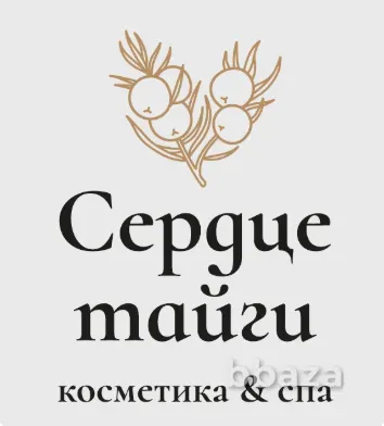 Франшиза Сибирского SPA «Сердце Тайги» Тольятти - изображение 1