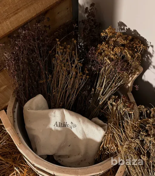 Франшиза Сибирского SPA «Сердце Тайги» Тольятти - изображение 5