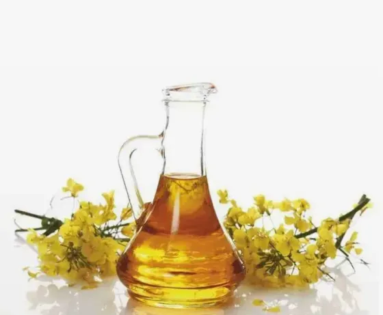 Масло рапсовое, рафинированное дезодорированное от производителя Москва