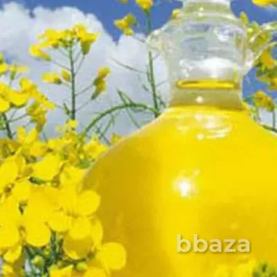 Масло рапсовое, рафинированное дезодорированное от производителя Москва - изображение 1