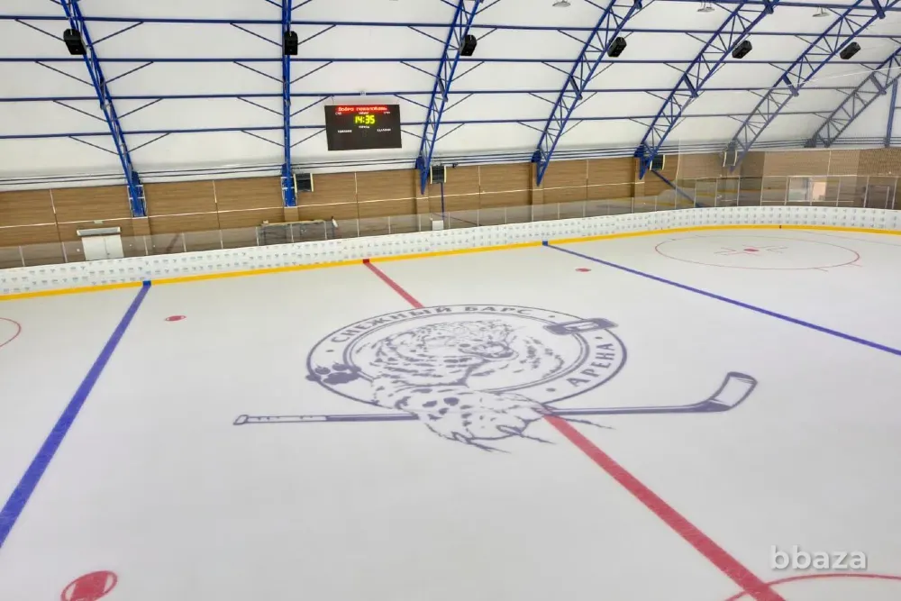Ледовая арена «Снежный барс» Москва - изображение 2
