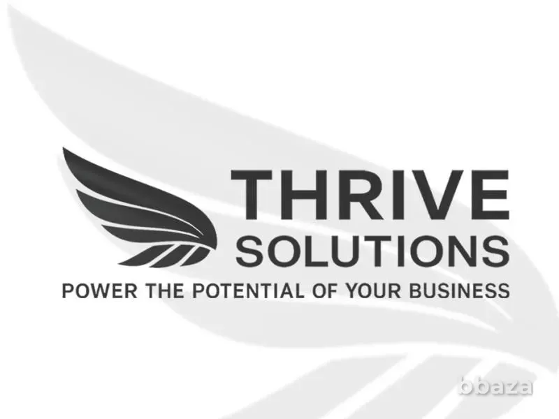 Thrive Marketing Solutions: маркетинговое агентство комплексного цикла Алматы - изображение 1
