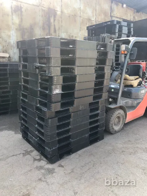 Куплю пластиковые поддоны Новосибирск - изображение 1