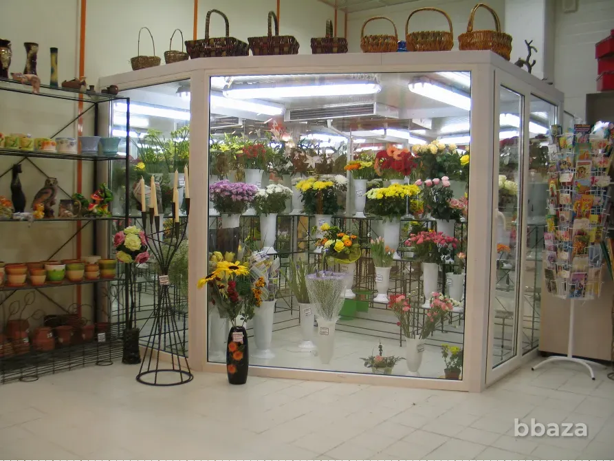 Холодильная камера для цветов Санкт-Петербург - изображение 3