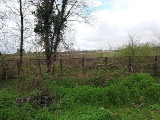 Продается готовый бизнес в Абхазии Краснодар