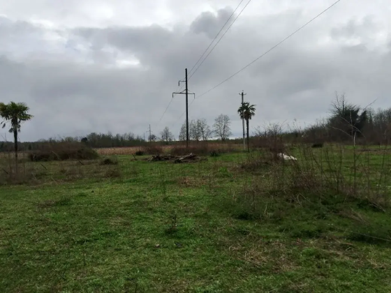 Продается готовый бизнес в Абхазии Краснодар