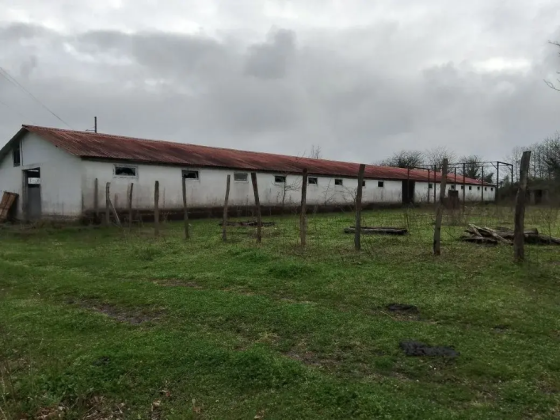 Продается готовый бизнес в Абхазии Краснодар