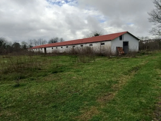 Продается готовый бизнес в Абхазии Краснодар