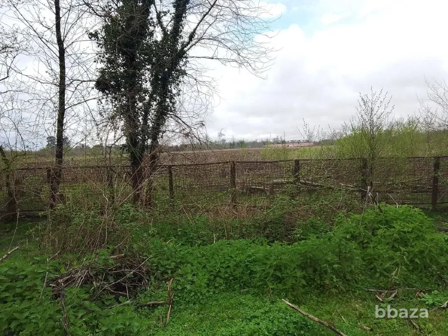 Продается готовый бизнес в Абхазии Краснодар - изображение 1