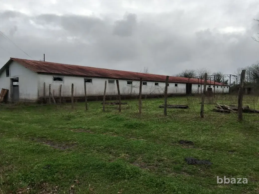 Продается готовый бизнес в Абхазии Краснодар - изображение 3