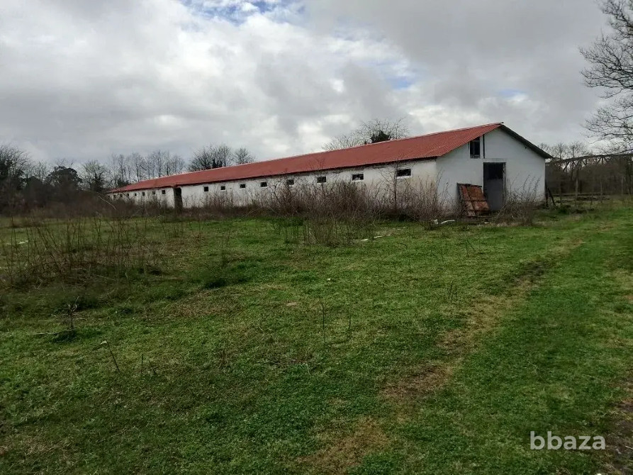 Продается готовый бизнес в Абхазии Краснодар - изображение 4