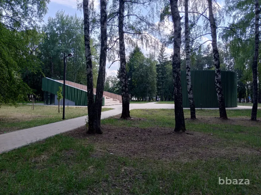 Готовый бизнес Парк Аттракционов! Бор - изображение 10