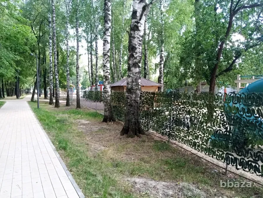 Готовый бизнес Парк Аттракционов! Бор - изображение 4