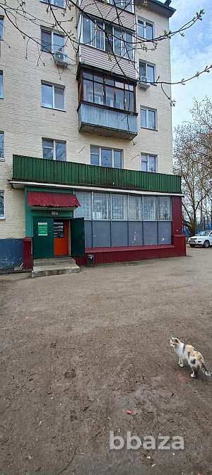 Торговое помещение 76.6 м2 Пушкино - изображение 3