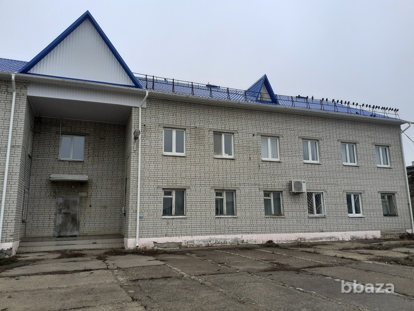 Административное здание со столовой, 901,4 кв.м., Курдюм Саратовская область - изображение 2