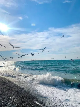 Участок 7 соток в Керчи | 1,5 км до моря | Земли населённых пунктов Керчь